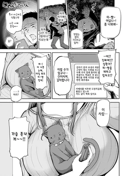 [Miyoshi] Nyanptation (COMIC Anthurium 2021-03) [korean] [Digital]