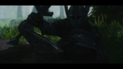⚔️🐉 skyrim.jpn.org siterip part 45