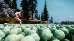 ⚔️🐉 skyrim.jpn.org siterip part 40