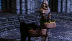 ⚔️🐉 skyrim.jpn.org siterip part 54