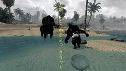 ⚔️🐉 skyrim.jpn.org siterip part 12