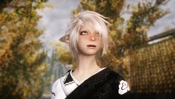 ⚔️🐉 skyrim.jpn.org siterip part 20