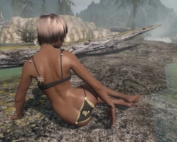 ⚔️🐉 skyrim.jpn.org siterip part 5