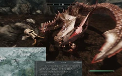 ⚔️🐉 skyrim.jpn.org siterip part 4