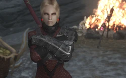 ⚔️🐉 skyrim.jpn.org siterip part 6