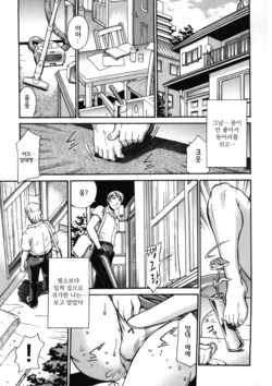 [Don Shigeru] Gibo Saori (Mechiku) [Korean]