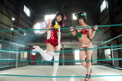 Pude no Touhou Tag Hen 2