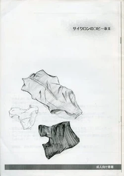 サイクロンのコピー本 II