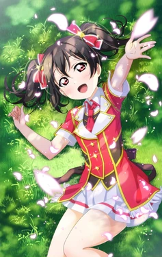 Love Live! School Idol Festival ~after school ACTIVITY~ Wai-Wai! Home Meeting!! μ's Member and Skill Cards [Complete]