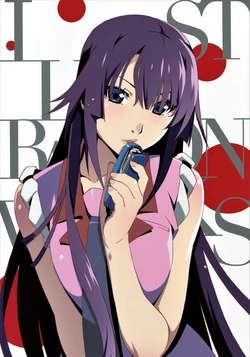 <Monogatari> Series 10th Anniversary Illustration Works