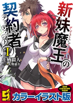 The Testament of Sister New Devil Light Novel Illustrations (1-13)