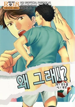 [Hachimaru (Yasoji)] Doushite Sonano!? | 왜 그래!? (Haikyuu!!) [Korean]