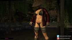 Kokoro - The Lusty Ronin