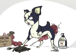 [Spiderbox] Iggy's Bizarre Toy Box