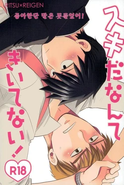 [Kanekashi (Toichi)] Sukida nante Kiitenai! (Mob Psycho 100)[Korean]