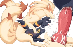 [ Patreon ] PATA 2020