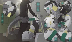 [Pannekoeke] Catching Strays