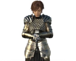 [The Benefactor] The Fallen Paladin - Part 1
