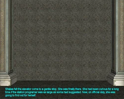 Vorister - Programmer