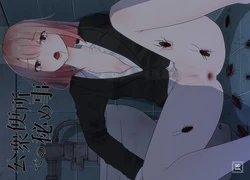 [TeruTeruGirl (Amano Teru)] Koushuu Benjo de no Himegoto