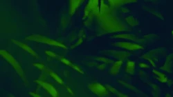 [Mr. X-Toon] Tarzan and Milo