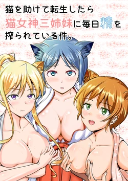[MikanameQ] Neko o Tasukete Tensei shitara Neko Megami Sanshimai ni Mainichi Sei o Shiborarete iru Ken. [Chinese]