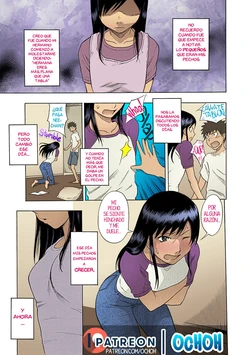 [Shiden Akira] Tiny Boobs Giant Tits History (OCHOH)