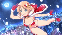 Master Ninja Senran Kagura NEW LINK - Holiday