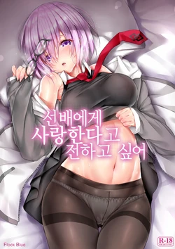 (C92) [Flock Blue (Blue_Gk)] Senpai ni Daisuki datte Tsutaetai (Fate/Grand Order) [Korean]