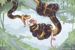 Artist - ScalesAndSpirals
