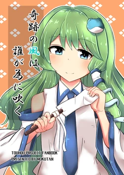 [Charcoal Tail (Mokutan)] Kiseki no Kaze wa Ta ga Tame ni Fuku (Touhou Project) [Digital]