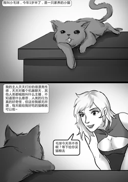 [king] cat [chinese]