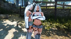 Bleack Desert Online (patreon/Minaori)