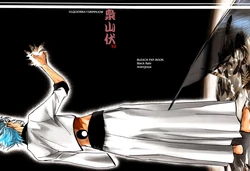 (C73) [Black Rain] Fukurou Yamabushi (BLEACH)  [Spanish] [StrawberryWhite]