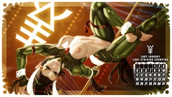 [Artist][TheMaestroNoob][No-Futa] Calendar Collections