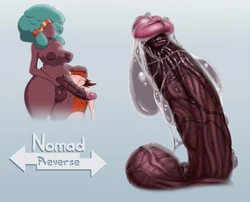 [Nomad Reverse] Ran Out of Money and Lost the Battle (Pokemon)