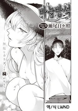 [Senoo Hibiteru] Hari no Mushiro | 바늘 경연 (COMIC Shitsurakuten 2021-09) [Korean] [LWND] [Digital]