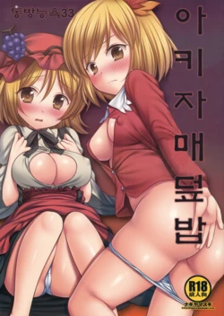 (Kouroumu 11) [Nagiyamasugi (Nagiyama)] Touhou Ryoujoku 33 Aki Shimaidon | 동방 능욕 33 아키 자매덮밥 (Touhou Project) [Korean]