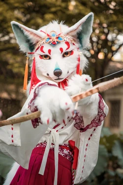 Furry Cosplay High quality