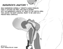 Ky. quick translations from "Minamoto Raikou Fantia Collection" (Yunam) (english)