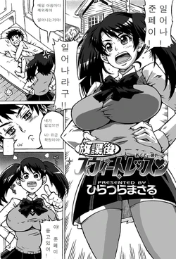 [Hiratsura Masaru] Houkago Sweet Lesson (COMIC SIGMA 2008-10 Vol. 24) [KOREAN]