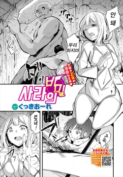 [Cucchiore] Sara no Himegoto | 사라의 비밀 (Dungeon Kouryaku wa SEX de!! Vol. 2) [Korean]