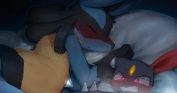 [Syuro] Dakimakura? (Pokémon)