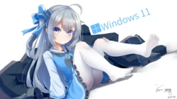 [karv] Windows 11