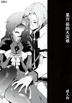 (C93) [Sonic (PANA)] Natsumi Schwarz no Sainan | 菜月昴的大灾难 (Re:Zero kara Hajimeru Isekai Seikatsu) [Chinese] [Aelitr个人汉化]