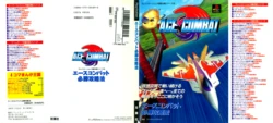 ACE Combat Victory Guide & ACE Combat Perfect Guide
