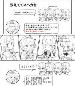 Four Novices' First SM Experience