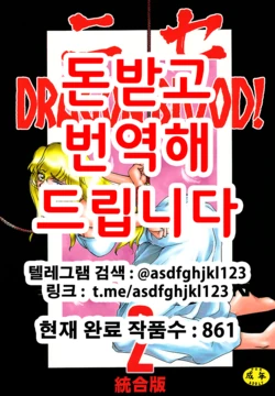 (C51) [LTM. (Taira Hajime)] Nise Dragon Blood! 2 [Korean]