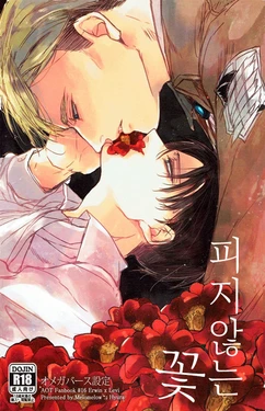 (SUPERKansai20) [Melomelow (Hyura)] Heichou Ryoujoku | 피지 않는 꽃  (Shingeki no Kyojin) [Korean] [Decensored]