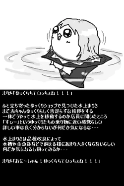 (ゆっくり) 水生小魔理沙的饲养 (Chinese)【棉花糖汉化】